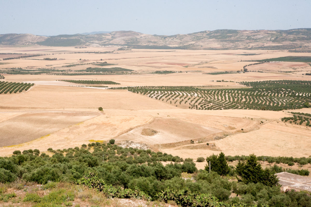 Tunisia Landscape - IMB