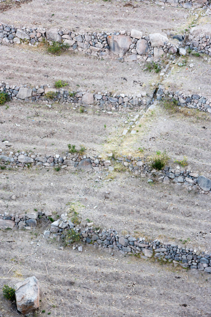 Rocky Fields