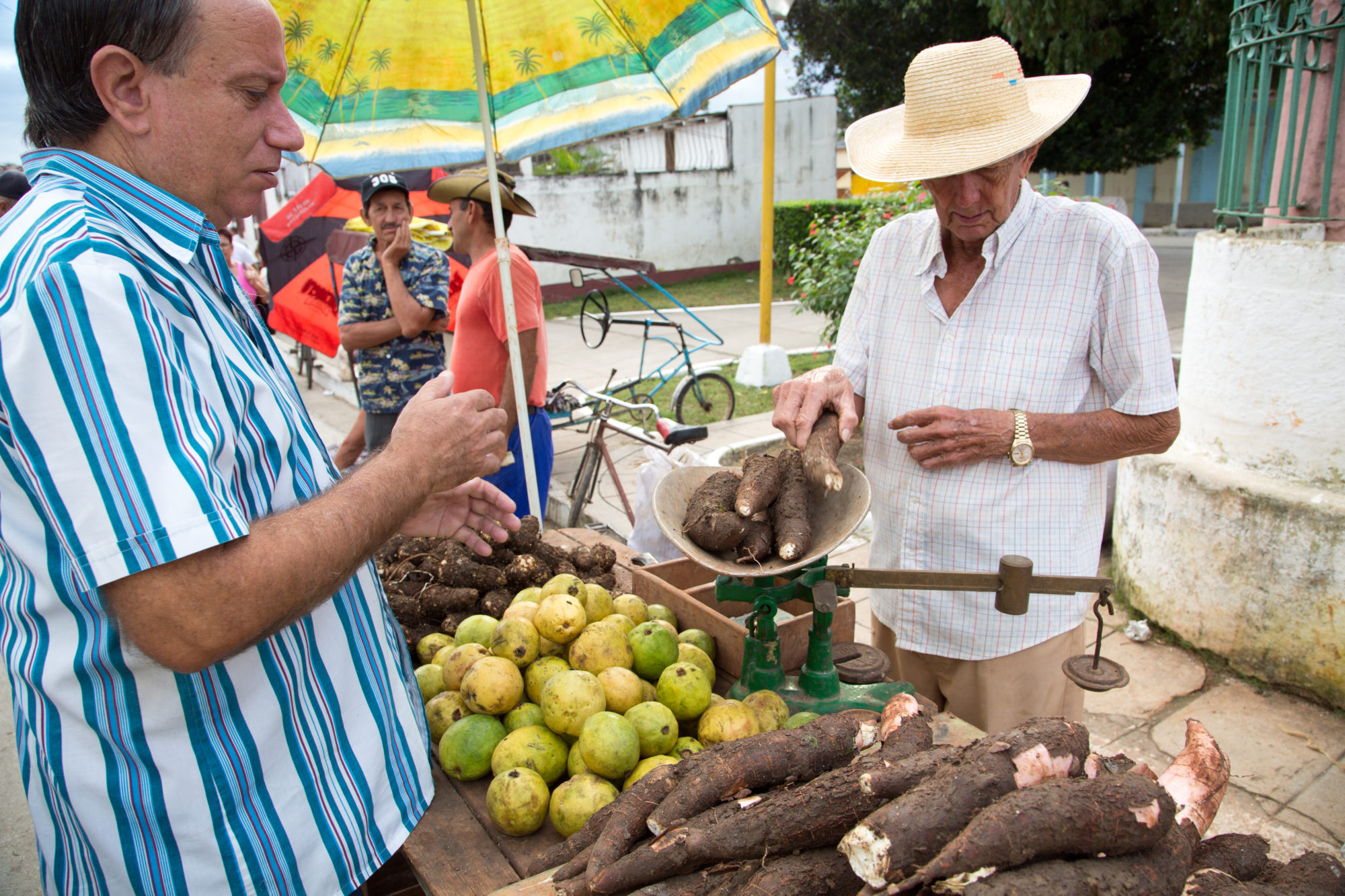 latin-american-produce-market-imb