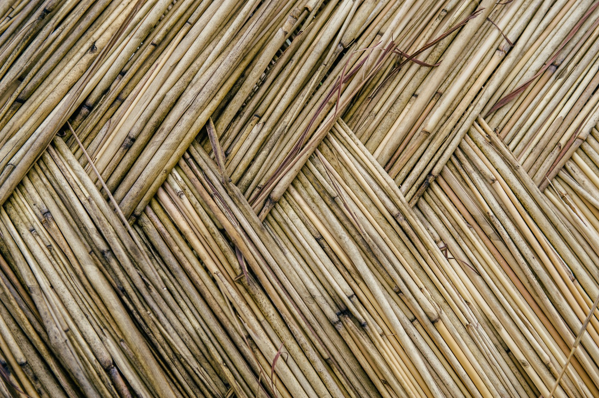 Thatch Pattern - IMB